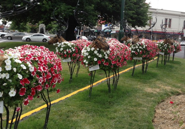 Ballarat reindeer