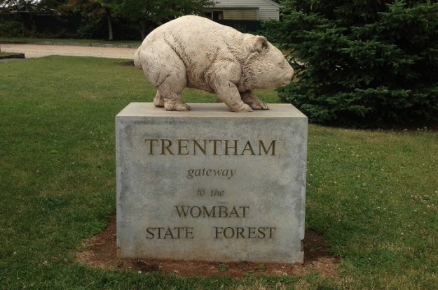 Trentham Wombat reduced