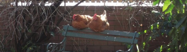 Scarlett & Nancy for Blog