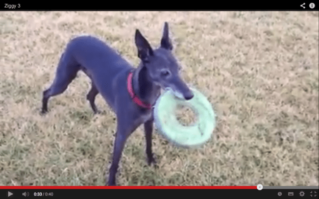 Screenshot 2014-09-28 11.43.02