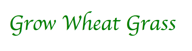 Grow Wheat Grass
