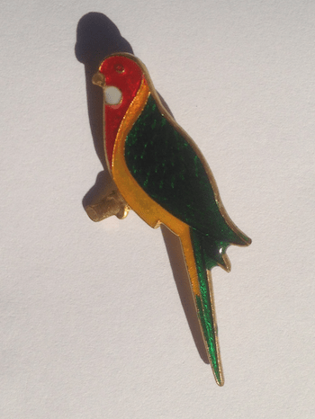Rosella Pin close up
